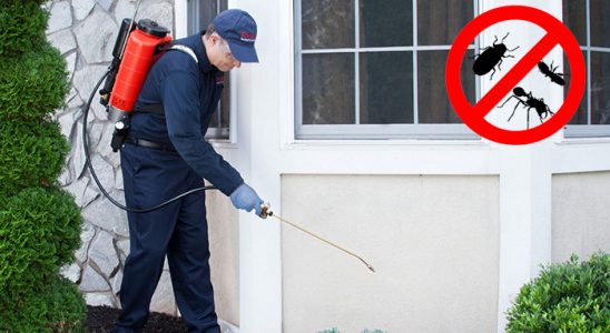 Sancaktepe Hamam Böceği İlaçlama böcek ilaçlama ve haşere kontrolü — ilaclama-tr.com